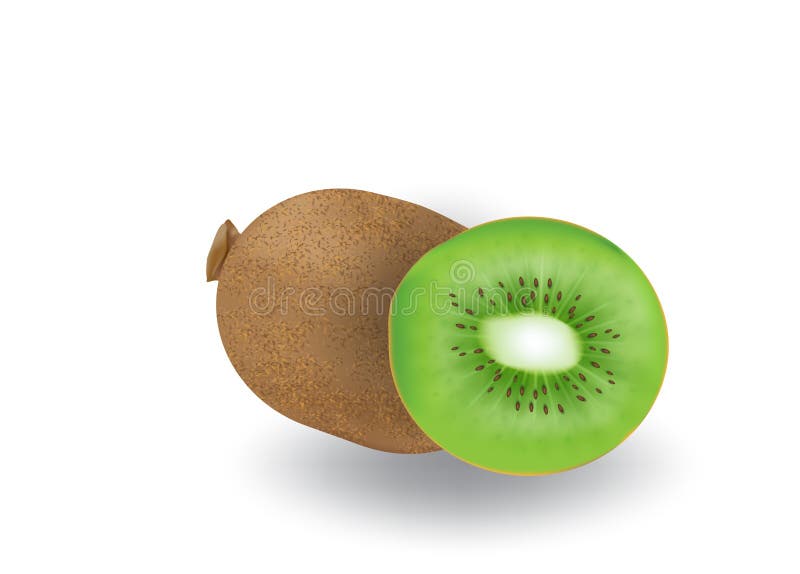 Realistische 3d vector van kiwifruit op ge?soleerde achtergrond royalty-vrije illustratie Realistische 3d vector van kiwifruit op ge?soleerde achtergrond royalty-vrije illustratie