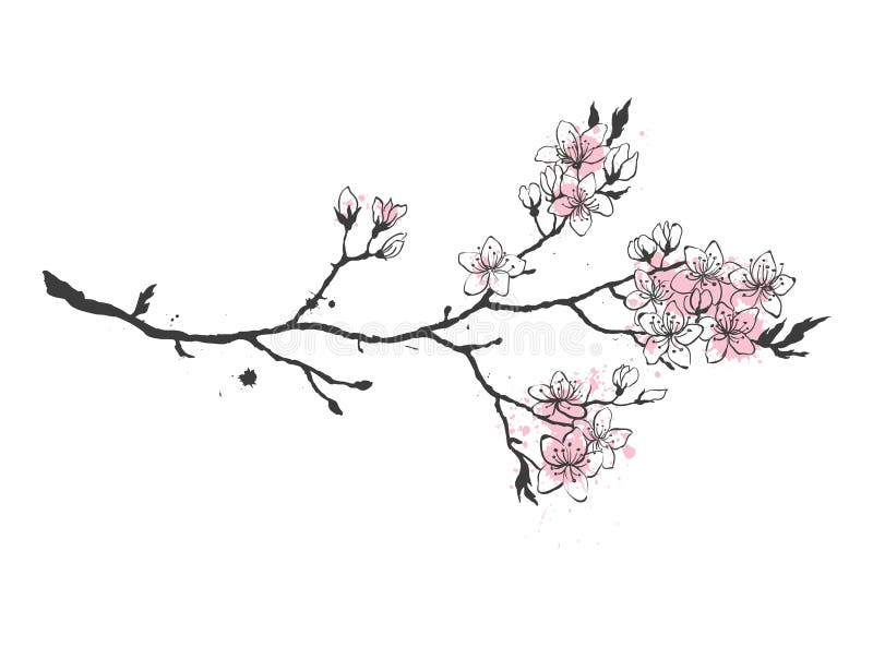 Realistische Kirschniederlassung Kirschblütes Japan mit dem Blühen blüht vektor abbildung Realistische Kirschniederlassung Kirschblütes Japan mit dem Blühen blüht vektor abbildung
