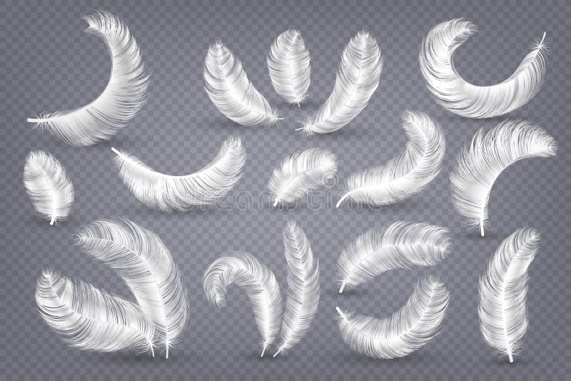 Realistische veren Pluizige witte gans en zwaanveer, gewichtloze pluim geïsoleerde vector