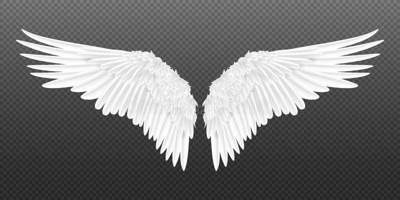 Realistische vleugels Paar van witte geïsoleerde engelvleugels met 3D-veren op transparante achtergrond Ontwerp van vectorvogelvl