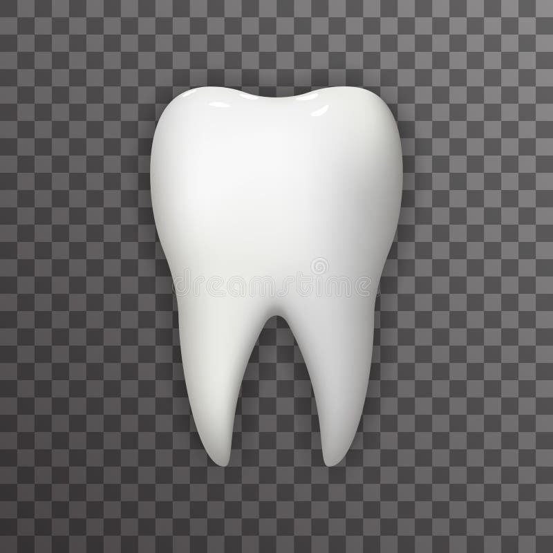 Realistischer Plakat Transperent-Stomatologie-Ikonen-Schablonen-Hintergrund-Spott-hohe Design-Vektor-Illustration des Zahn-3d stock abbildung Realistischer Plakat Transperent-Stomatologie-Ikonen-Schablonen-Hintergrund-Spott-hohe Design-Vektor-Illustration des Zahn-3d stock abbildung