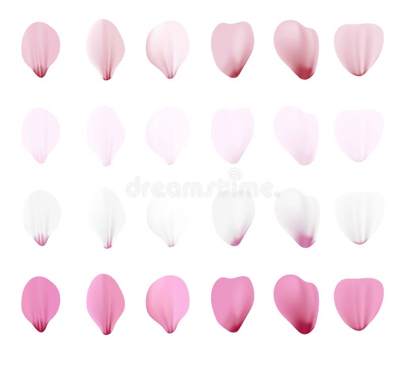 Realistischer rosa Kirschblüte-Blumenblattikonensatz Blumenblätter der Steigungsmasche 3d Kirsch Auch im corel abgehobenen Betrag stock abbildung Realistischer rosa Kirschblüte-Blumenblattikonensatz Blumenblätter der Steigungsmasche 3d Kirsch Auch im corel abgehobenen Betrag stock abbildung