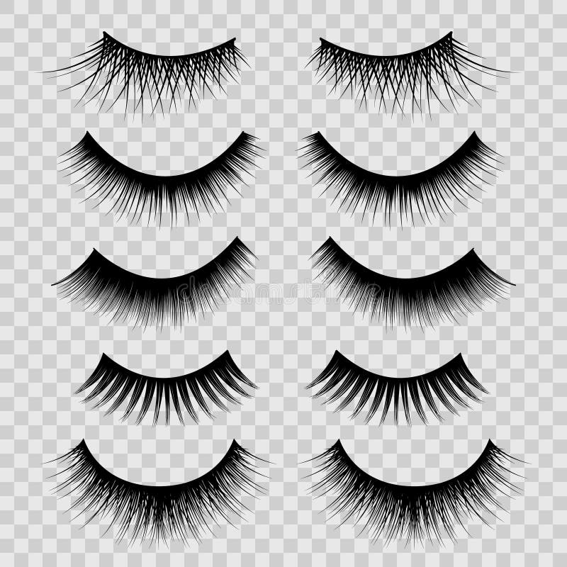 Realistic Detailed 3d Feminine Black Lashes Set on a Transparent Background Beauty Product. Vector illustration of False Eyelashes. Realistic Detailed 3d Feminine Black Lashes Set on a Transparent Background Beauty Product. Vector illustration of False Eyelashes