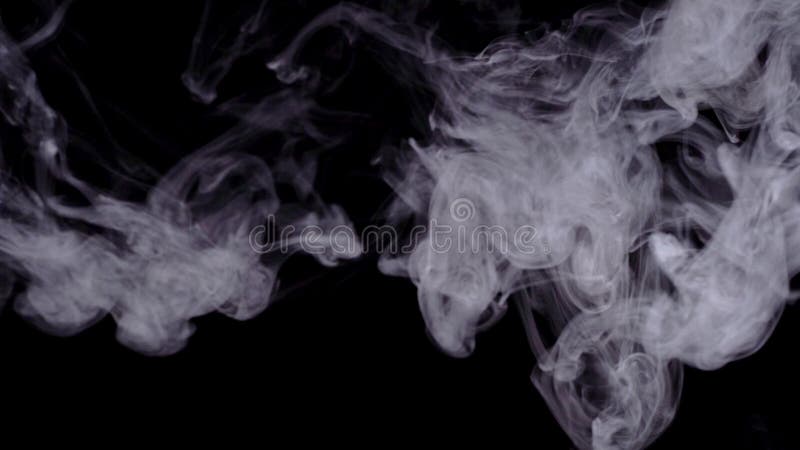 Realistisk rök, dimma, moln isolerat på svart bakgrund, skärmläge för blandning av överläggningseffekt Långsam rörelse 4 000 bild stock video