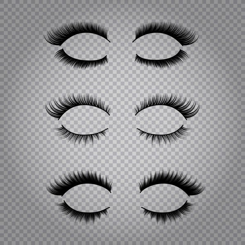 Set of realistic false lashes for upper and lower eye lids isolated on transparent background vector illustration. Set of realistic false lashes for upper and lower eye lids isolated on transparent background vector illustration