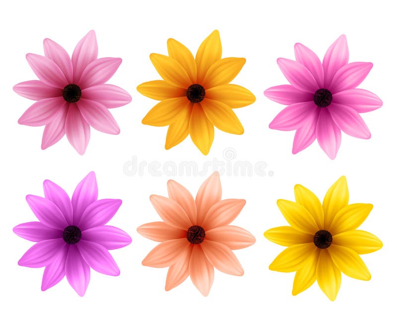 Realistisk uppsättning 3D av färgrika Daisy Flowers för vårsäsong stock illustrationer