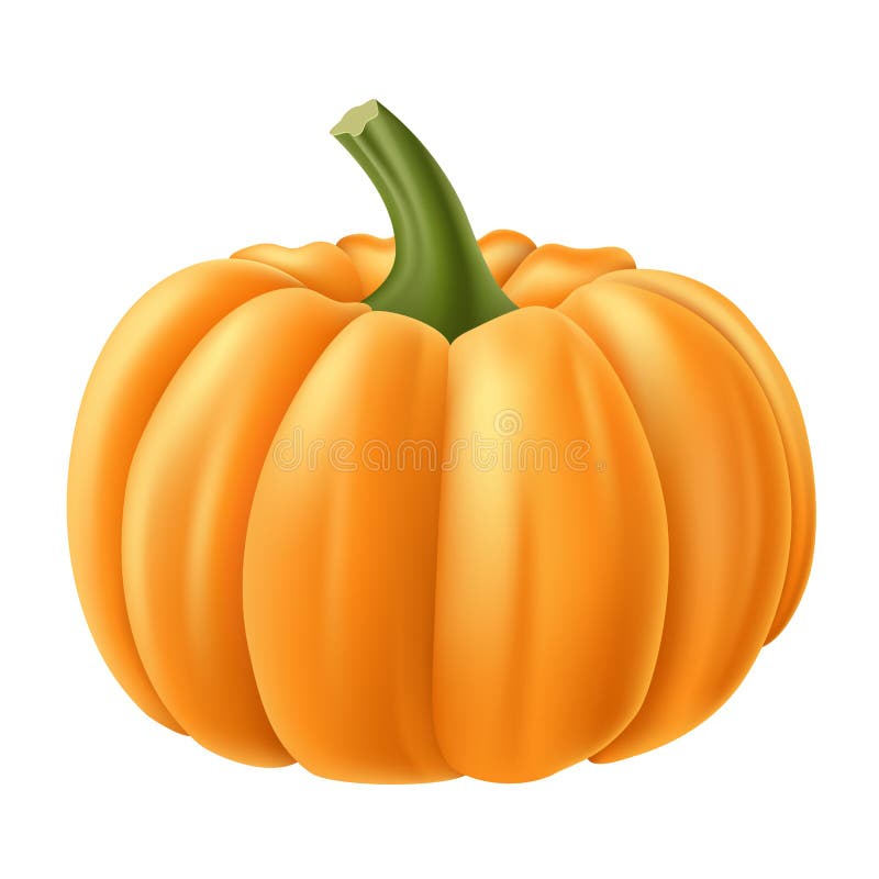Realistyczna dyniowa ilustracja dla jesieni i Halloween royalty ilustracja Realistyczna dyniowa ilustracja dla jesieni i Halloween royalty ilustracja
