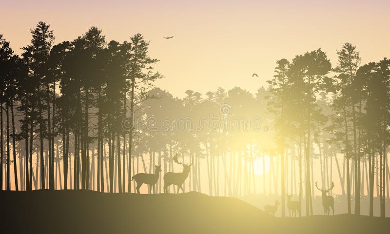 Realistic illustration of mountain landscape with coniferous forest. Deer herd grazes under yellow sky with flying bird and sunrise with sunshine - vector. Realistic illustration of mountain landscape with coniferous forest. Deer herd grazes under yellow sky with flying bird and sunrise with sunshine - vector