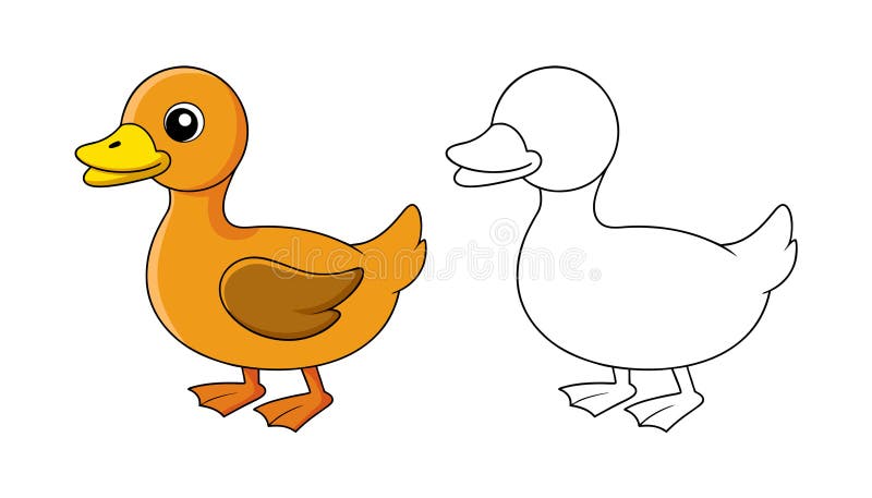 Realistyczna ilustracja kaczki grzebieniowej ilustracji