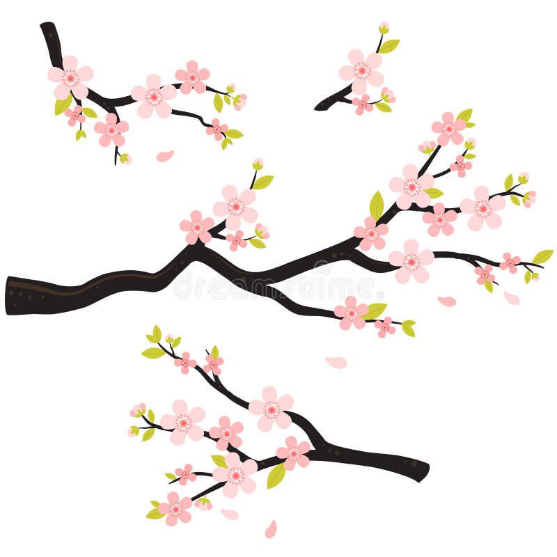 Realistyczna Sakura Japan wiśni gałąź z kwitnieniem kwitnie royalty ilustracja Realistyczna Sakura Japan wiśni gałąź z kwitnieniem kwitnie royalty ilustracja