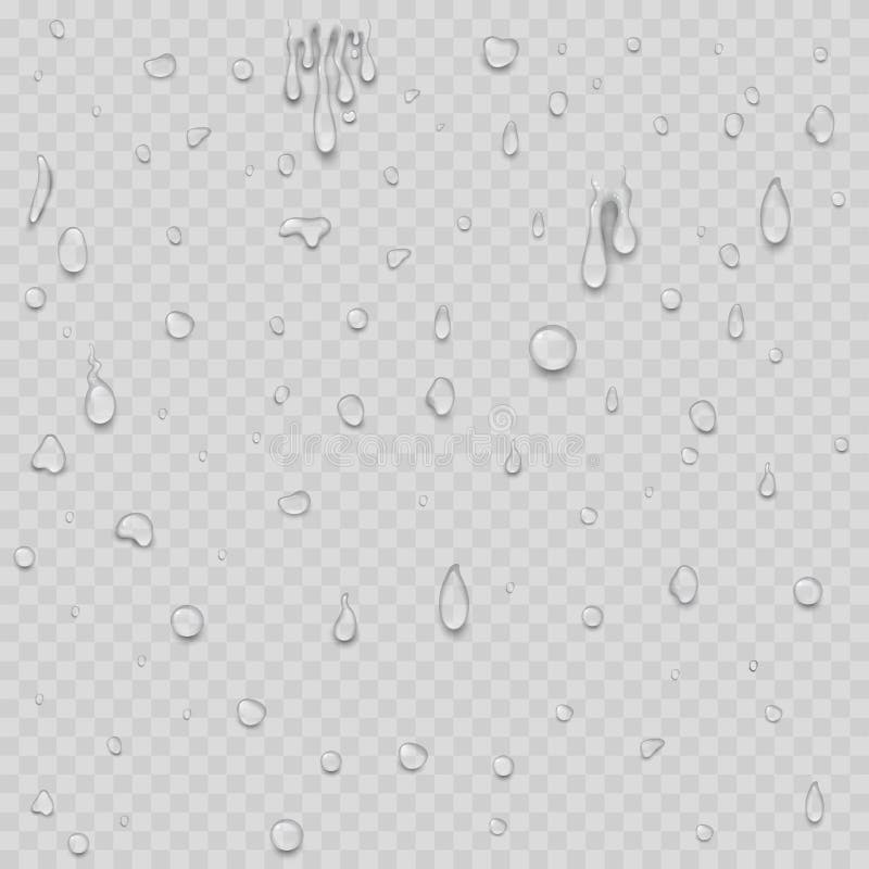 Realistycznych wodnych kropel raindrop pluśnięcia tła wektoru ciekła przejrzysta ilustracja ilustracji Realistycznych wodnych kropel raindrop pluśnięcia tła wektoru ciekła przejrzysta ilustracja ilustracji
