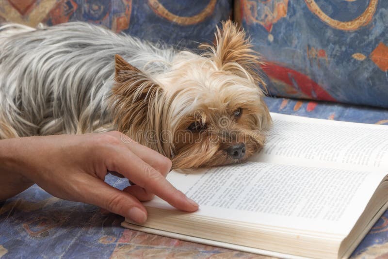 Realmente non godo di di leggere Realmente non godo di di leggere