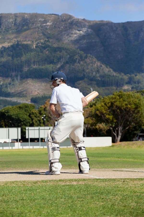 Rear View of Batsman Playing Cricket at Field Stock Photo Image of