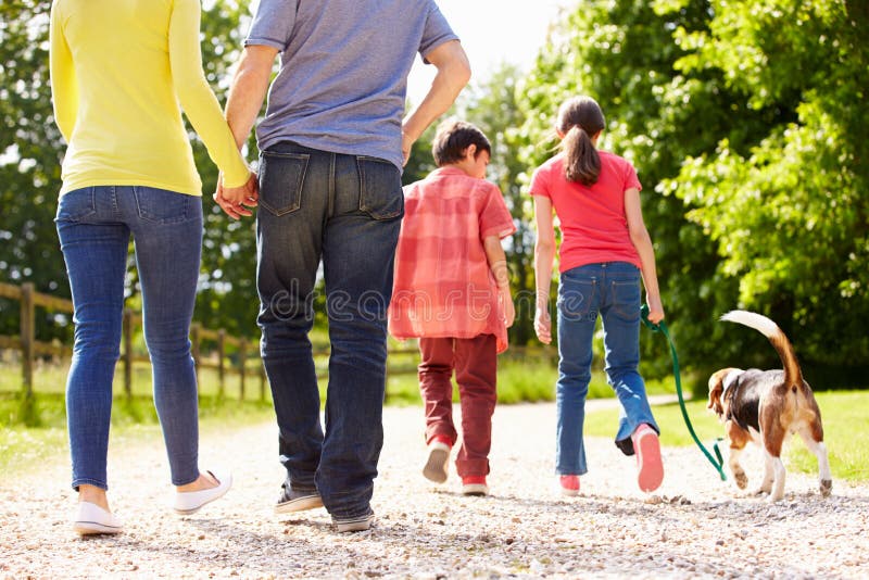 Trasero de familia el perro caminando en campo.