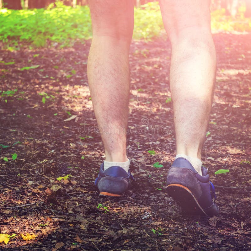 Rear View Low Angle View of Man Legs, Walking in Forest. Stock Image ...