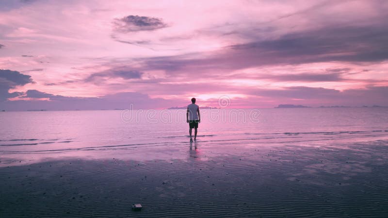 Rear view man tourist walking and watching Sunset by Sea on Beautiful Beach at Golden Hour. Scenic Sea Sunset with Lone