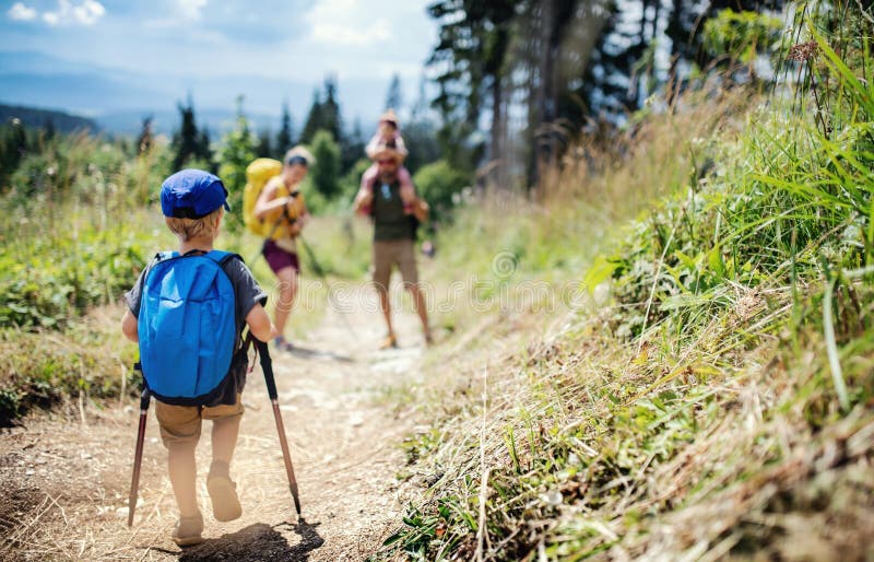 Rear view of small boy with family hiking outdoors in summer nature.