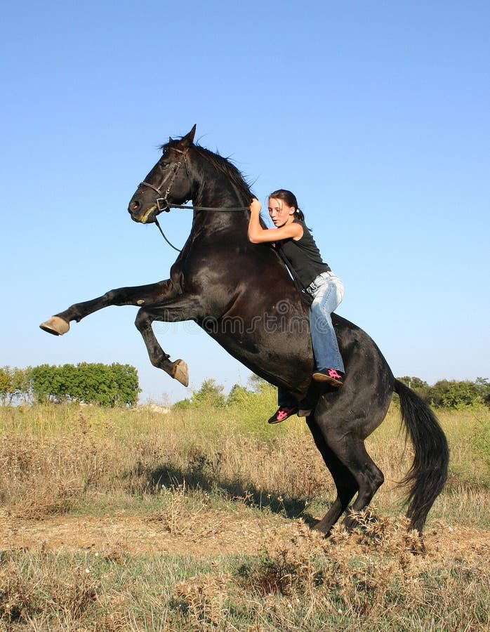 Rearing black horse