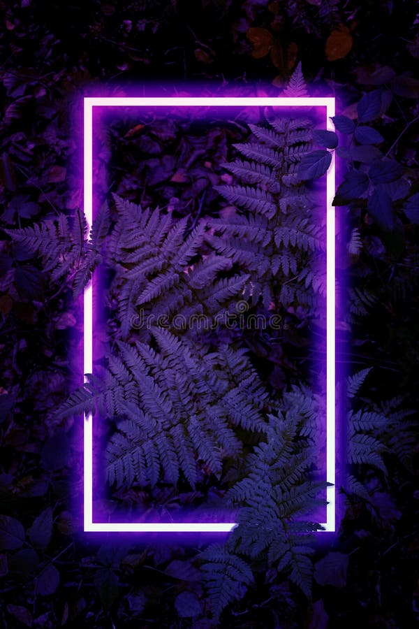 Featured image of post Neon Dark Purple Aesthetic Background