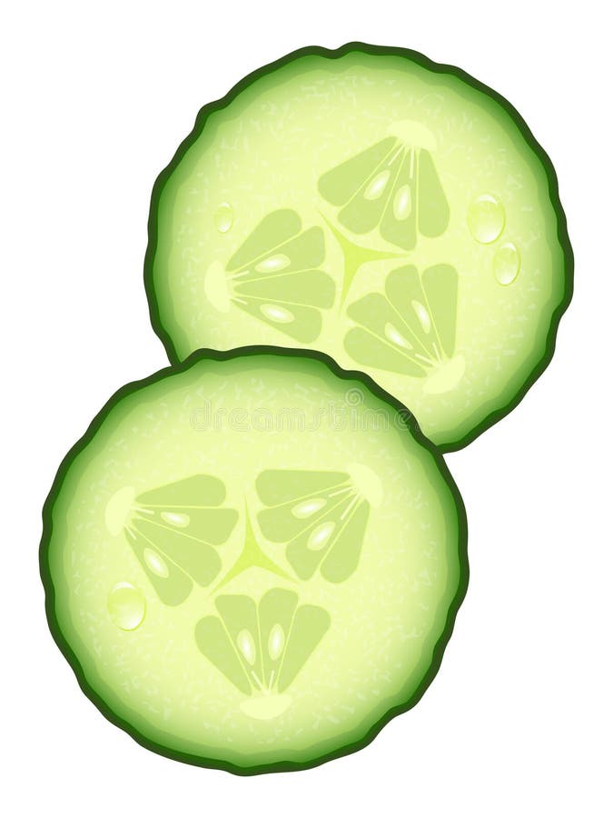 Fresh slices of cucumber with water drops, illustration. Fresh slices of cucumber with water drops, illustration