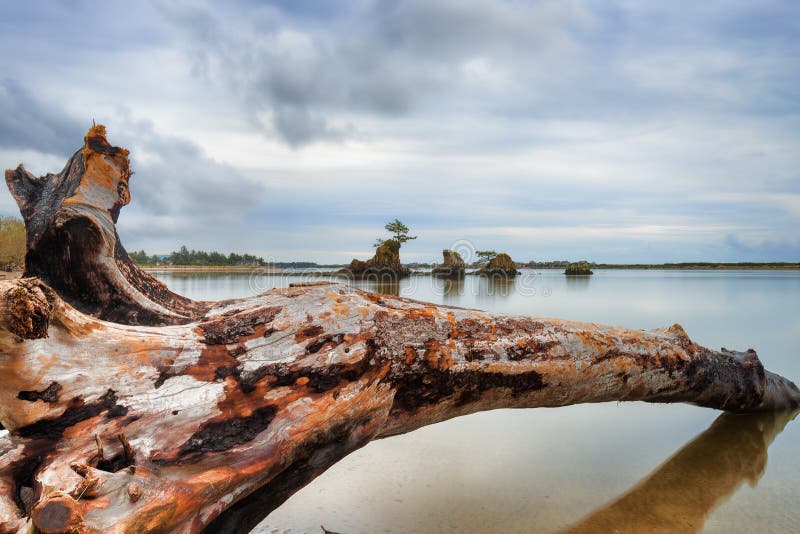 A receding storm leaves behind calm waters and deserted beach, littered with large pieces of driftwood and trees, in the early evening hours at Siletz Bay in Lincoln City Oregon. A receding storm leaves behind calm waters and deserted beach, littered with large pieces of driftwood and trees, in the early evening hours at Siletz Bay in Lincoln City Oregon