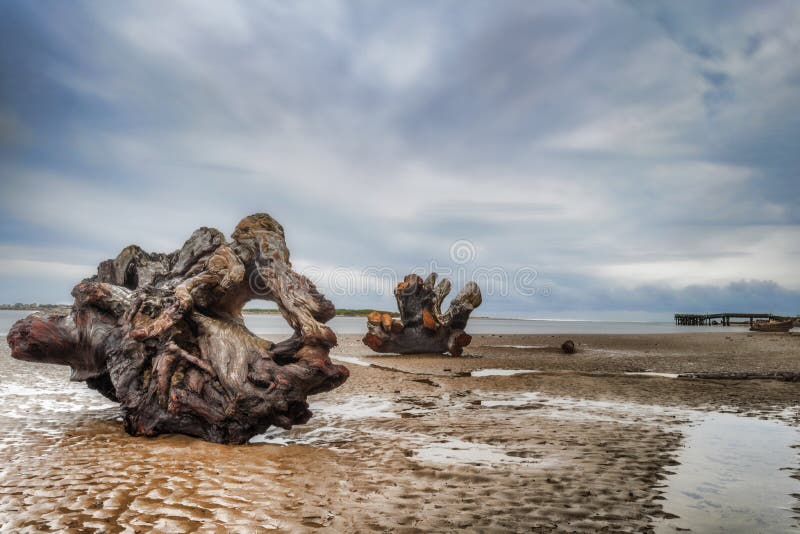 A receding storm leaves behind calm waters and deserted beach, littered with large pieces of driftwood and trees, in the early evening hours at Siletz Bay in Lincoln City Oregon. A receding storm leaves behind calm waters and deserted beach, littered with large pieces of driftwood and trees, in the early evening hours at Siletz Bay in Lincoln City Oregon