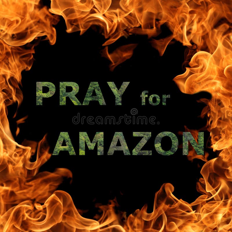 Recen por el concepto de AmazonÃa para la quema de incendios forestales en la selva amazónica de Brasil fotografía de archivo Recen por el concepto de AmazonÃa para la quema de incendios forestales en la selva amazónica de Brasil fotografía de archivo
