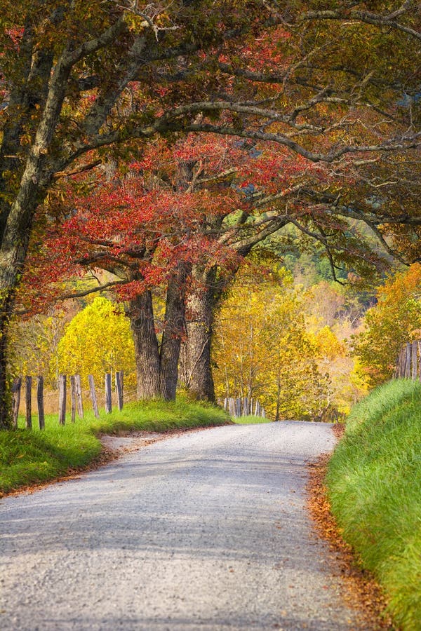 Fall foliage on display on Sparks Road in Cade's Cove, Great Smoky Mountains National Park, TN. Fall foliage on display on Sparks Road in Cade's Cove, Great Smoky Mountains National Park, TN