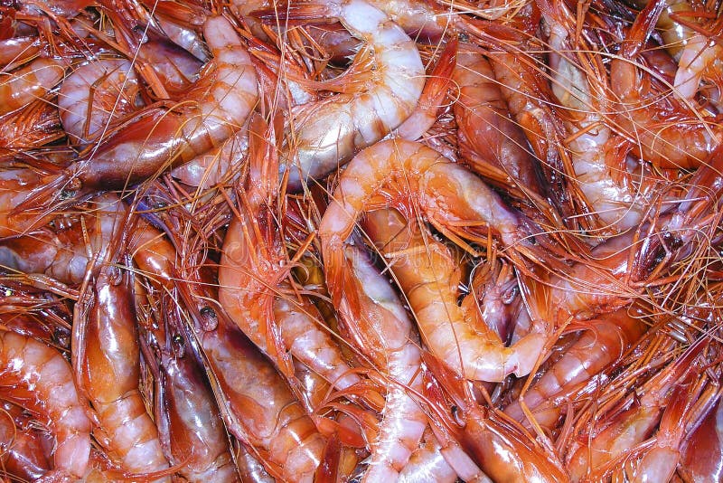 Recently Fished Red Shrimp, Exquisite food, Fish Market, Mediterranean Sea