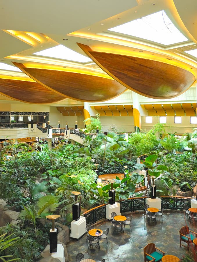 Reception lobby area in luxury hotel