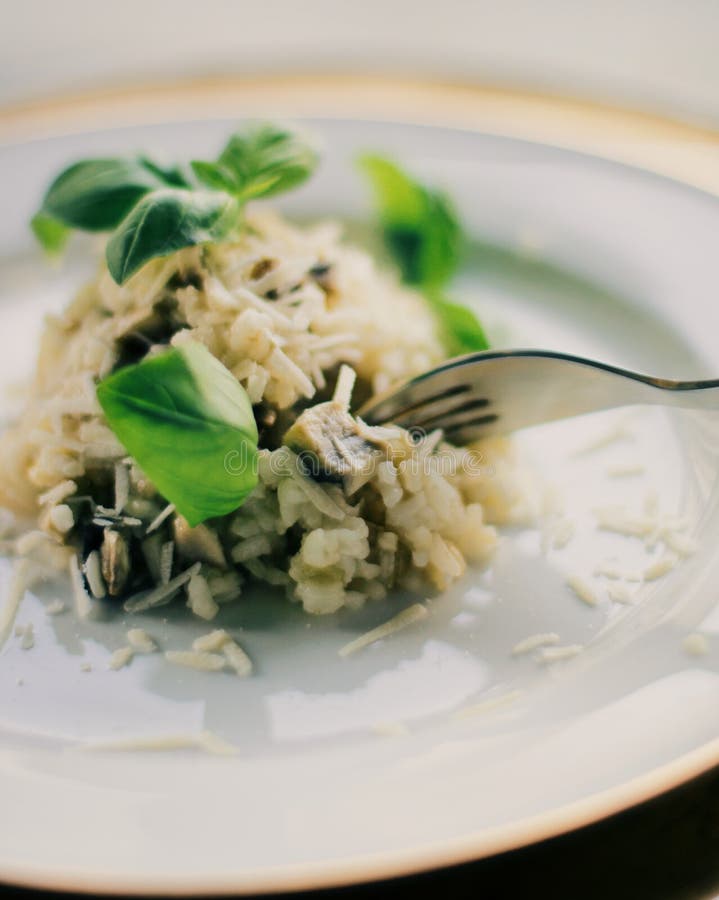 Receta Del Risotto De La Seta Imagen de archivo Imagen de arroz