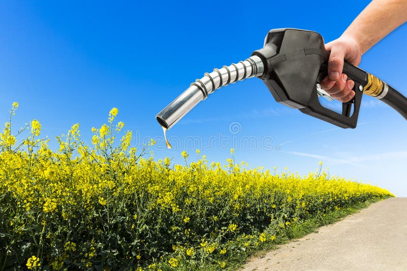 Recharge gas EcoFriendly stock photo. Image of grain 238558568
