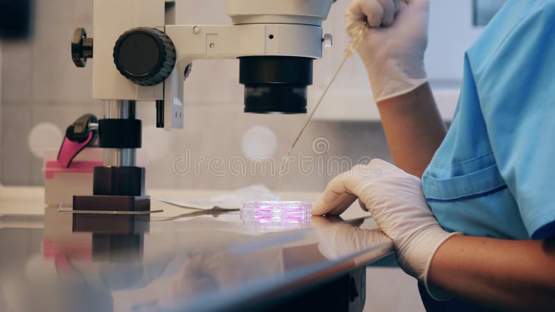 Recherche chimique tenue au microscope, travailleur scientifique au laboratoire