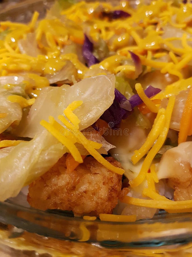 Recipe with Leftover Tater Tot Stock Photo Image of yummy, cheese 191471748