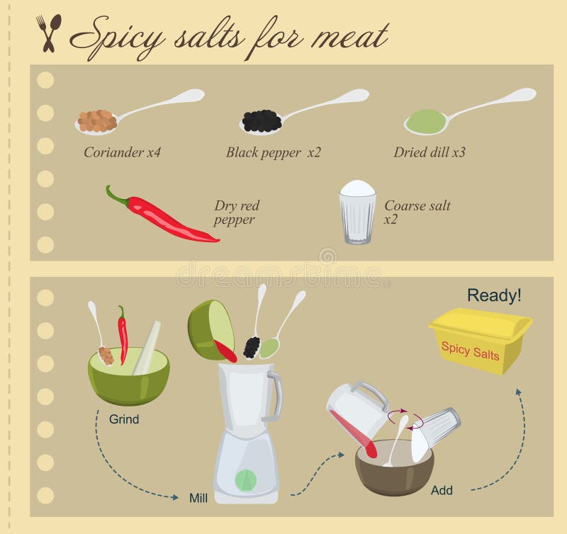 Recipe of Spicy Salts for Meat Stock Vector Illustration of flat