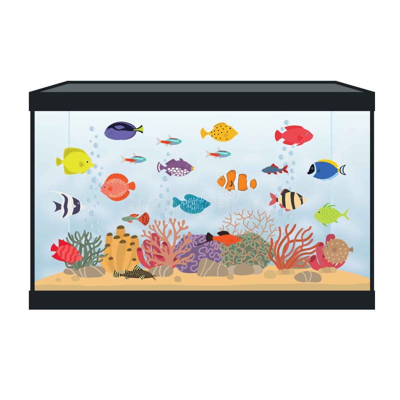 rectangular fish tank clip art