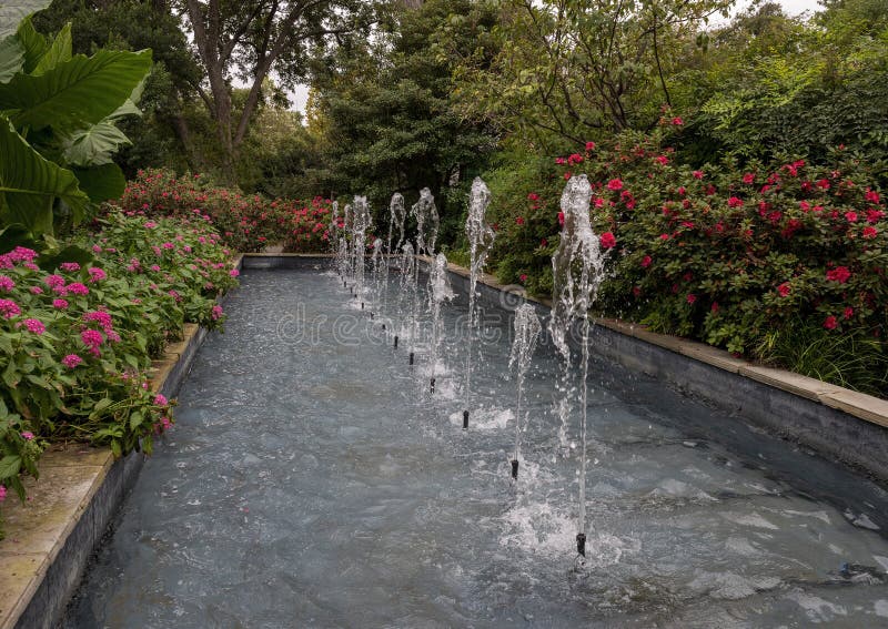 Rectangular Fountain Lined with Plants and Flowers at the Dallas Arboretum and Botanical Garden