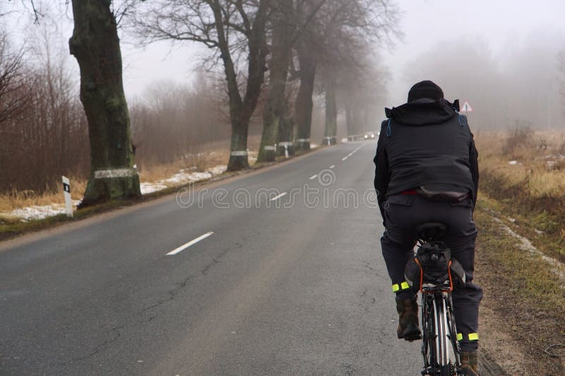 Recyclage, route, brouillard, arbres, route, matin, tôt image libre de droits Recyclage, route, brouillard, arbres, route, matin, tôt image libre de droits