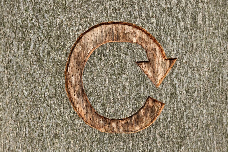 Recycle symbol carved into a tree
