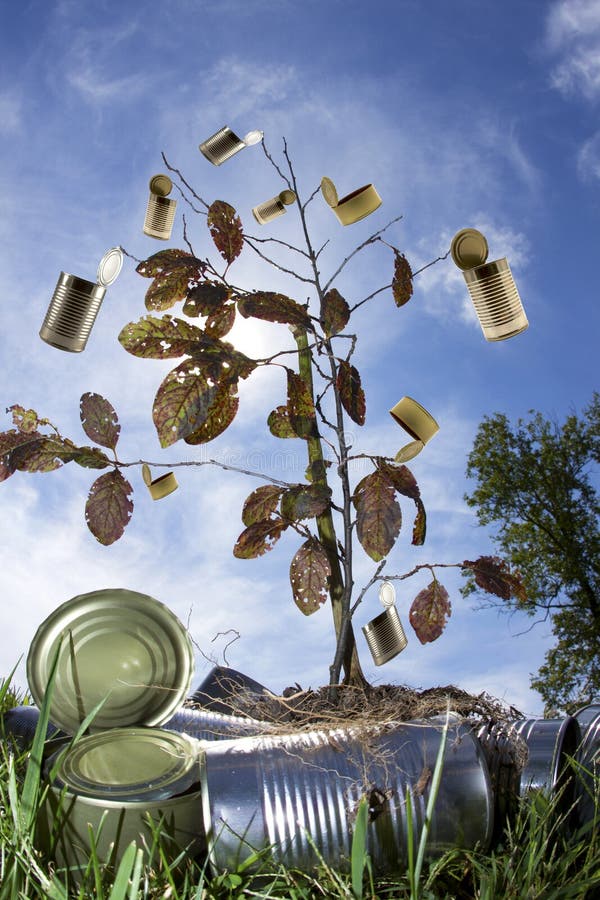 440+ Recycle tree Free Stock Photos StockFreeImages