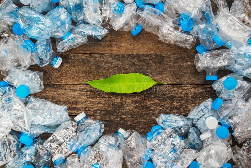 Recycling concept. Green leaves on a wooden background around the transparent plastic bottles. The problem of ecology, environment