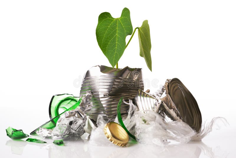 Recycling Concept Plant Growing Out Of Rubbish Royalty Free Stock