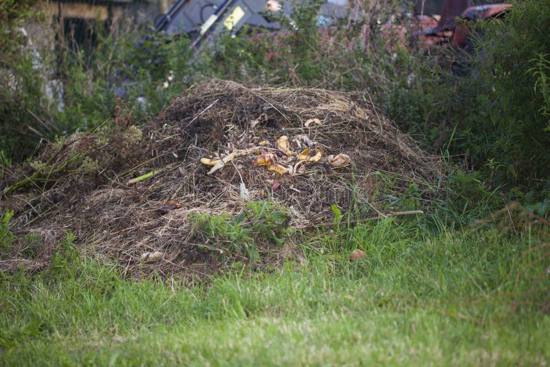 Go Green Peeing On Compost Heaps