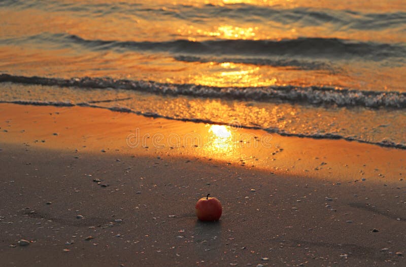 A Red Apple on the Beach Sand Stock Image Image of summer, water