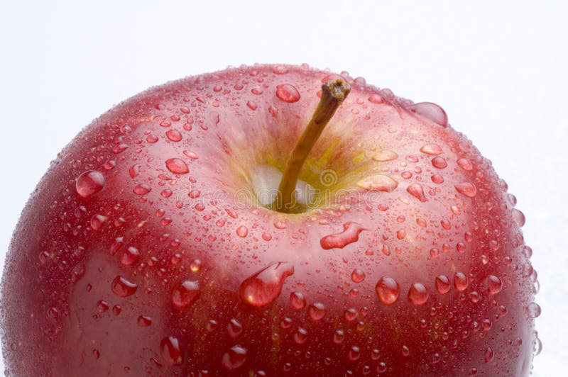 Red apple closeup isolated