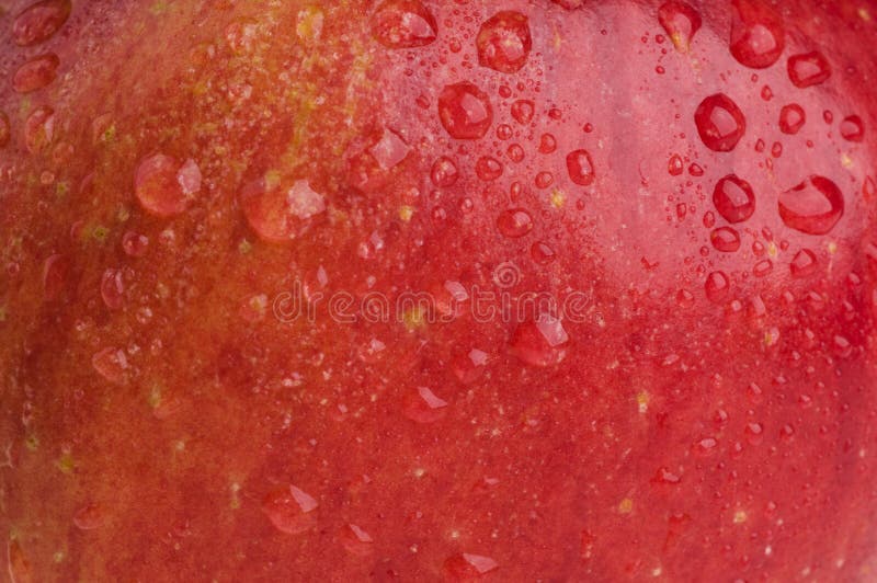 Red apple food background