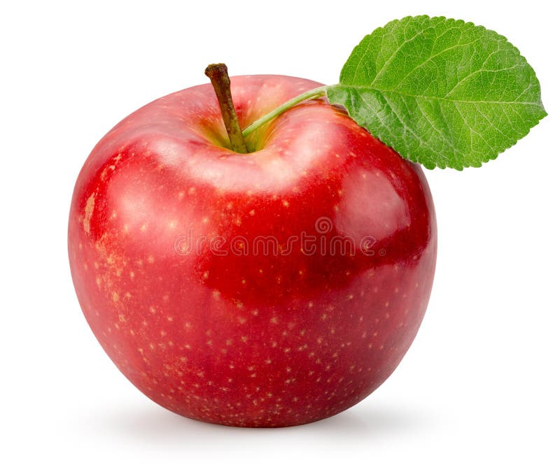 427,886 White Background Apple Stock Photos - Free & Royalty-Free Stock  Photos from Dreamstime