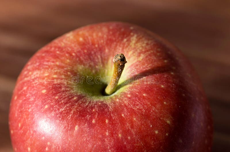 Red apple macro. Red apple from the variety Cortland in close up royalty free stock image