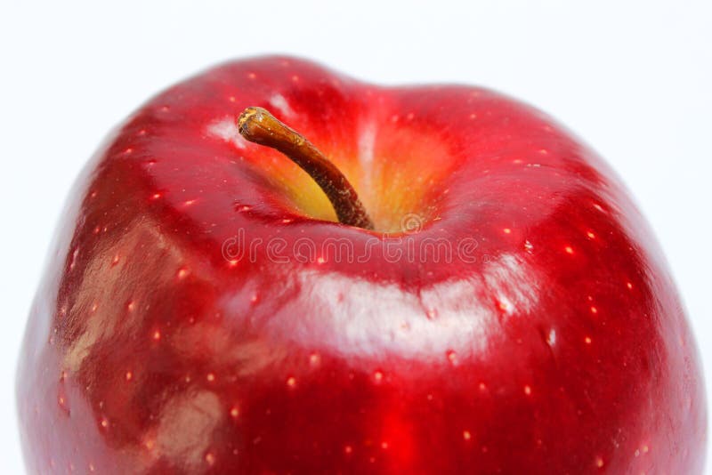 Red Apple with Stem Close Up Stock Photo Image of breakfast, isolate