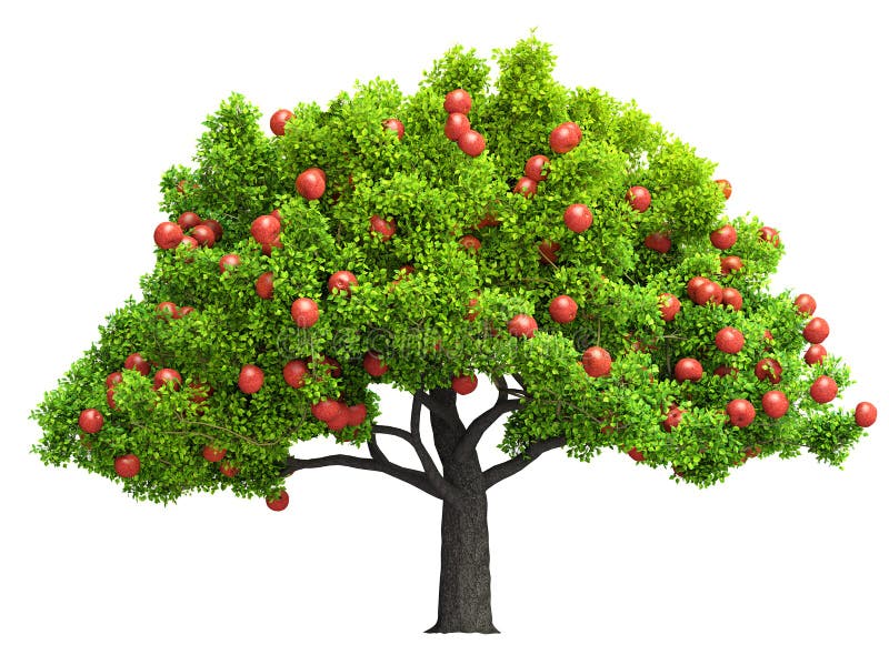 https://thumbs.dreamstime.com/b/red-apple-tree-isolated-d-illustration-red-apple-tree-isolated-d-illustration-117240331.jpg